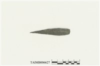 藏品(薄鱗蘚屬)的圖片